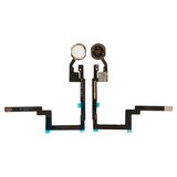 Cable flex puede usarse con iPad Mini 3 Retina, de botón HOME, blanco, con componentes